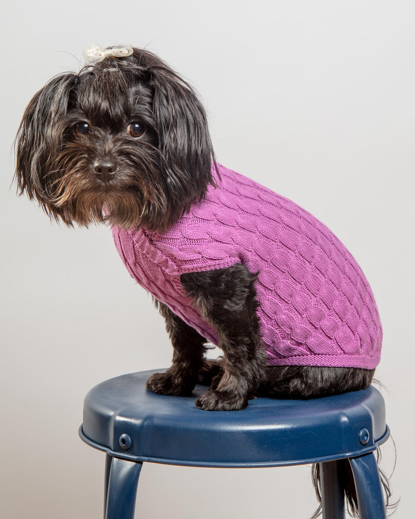 The Uptown Cable Knit Sweater in Radiant Orchid American Cotton (Made in NYC) Wear DOG & CO. COLLECTION   