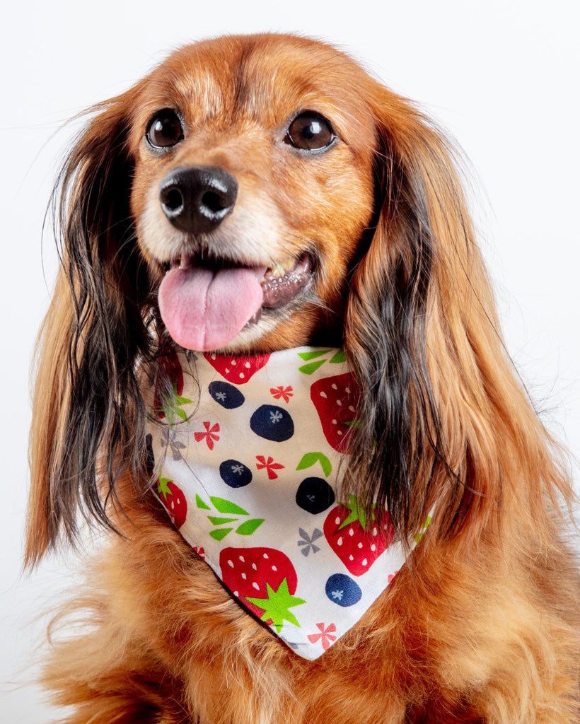 Berries & Cream Bandana<br>(Made in the USA) (FINAL SALE) Wear BEHR'S BOUTIQUE   