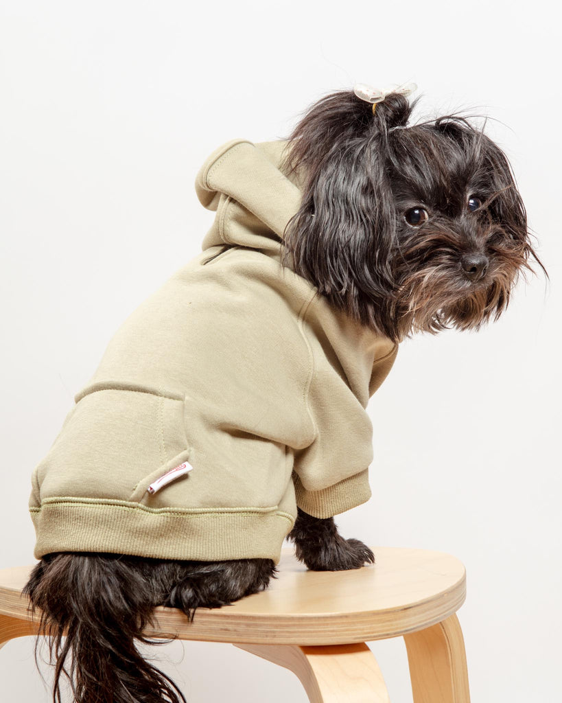 Pullover Dog Hoodie in Sage (FINAL SALE) Wear MILLTOWN BRAND   