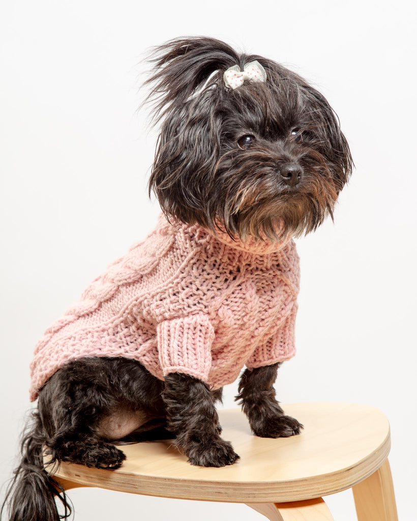 Downtown Roll Neck Dog Sweater in Rose Wear DOG & CO. COLLECTION   