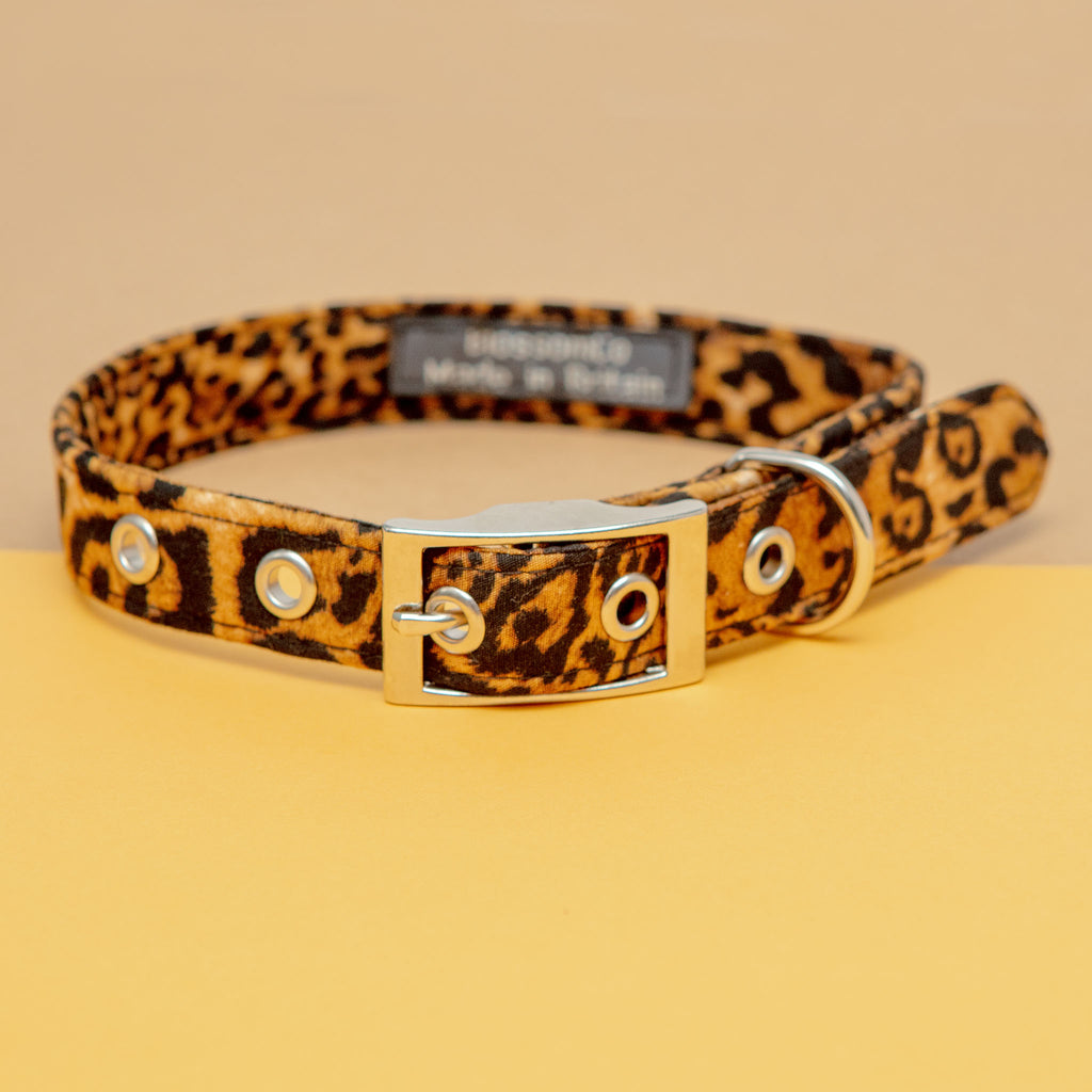 Leopard Dog Collar << CLEARANCE >> WALK BLOSSOM CO.   