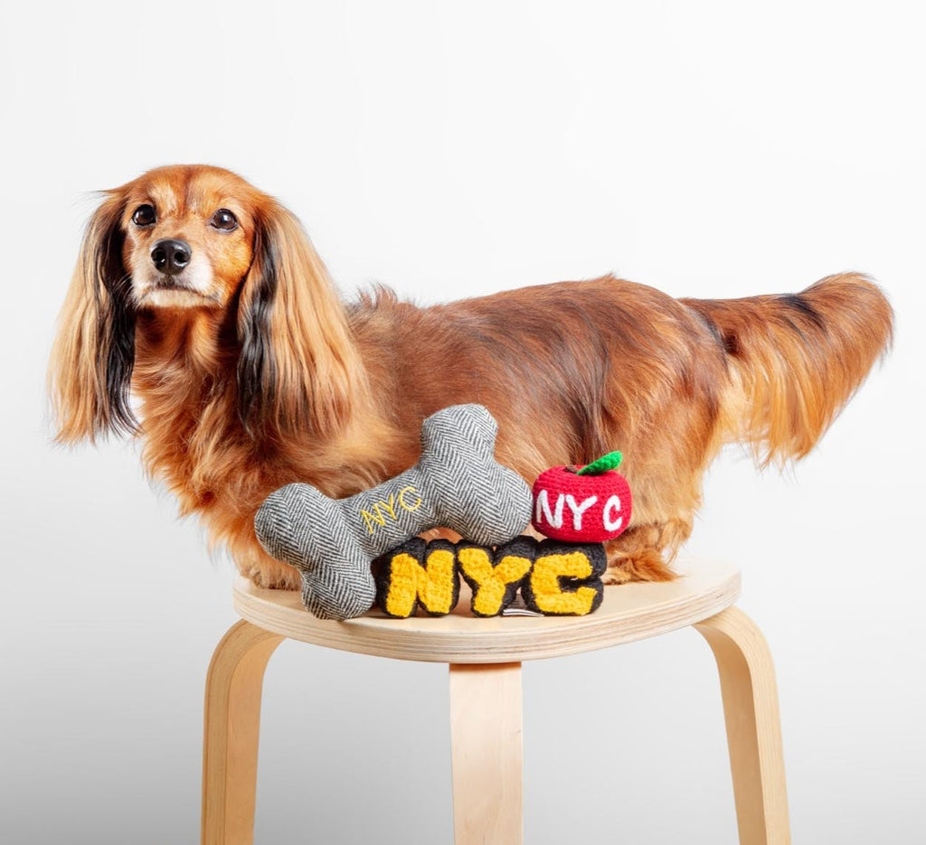 "NYC" Tweed Squeaker Bone Dog Toy (Made in the USA) Play THREAD AND PAW   