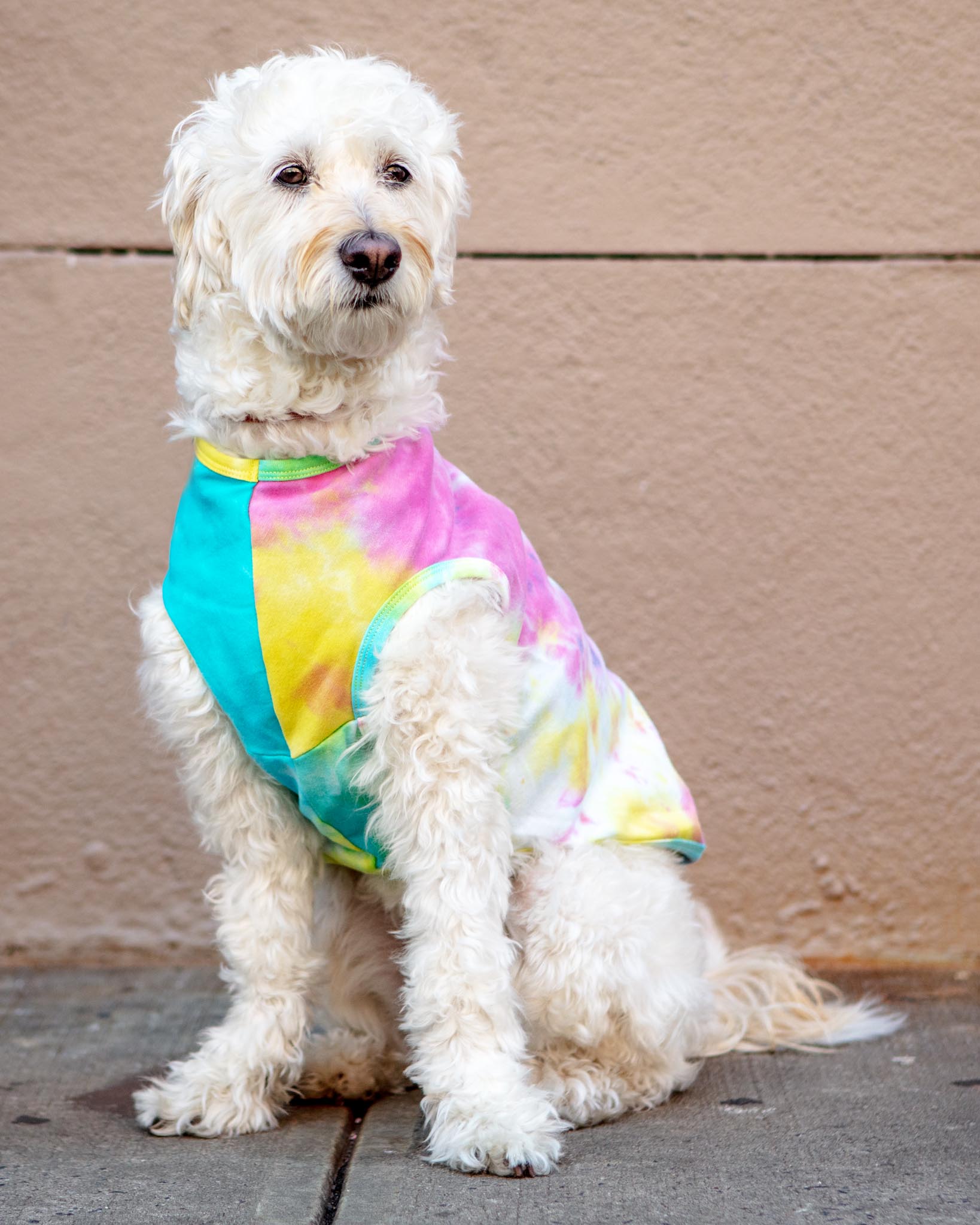 Tie Dye Dog Tee CLEARANCE