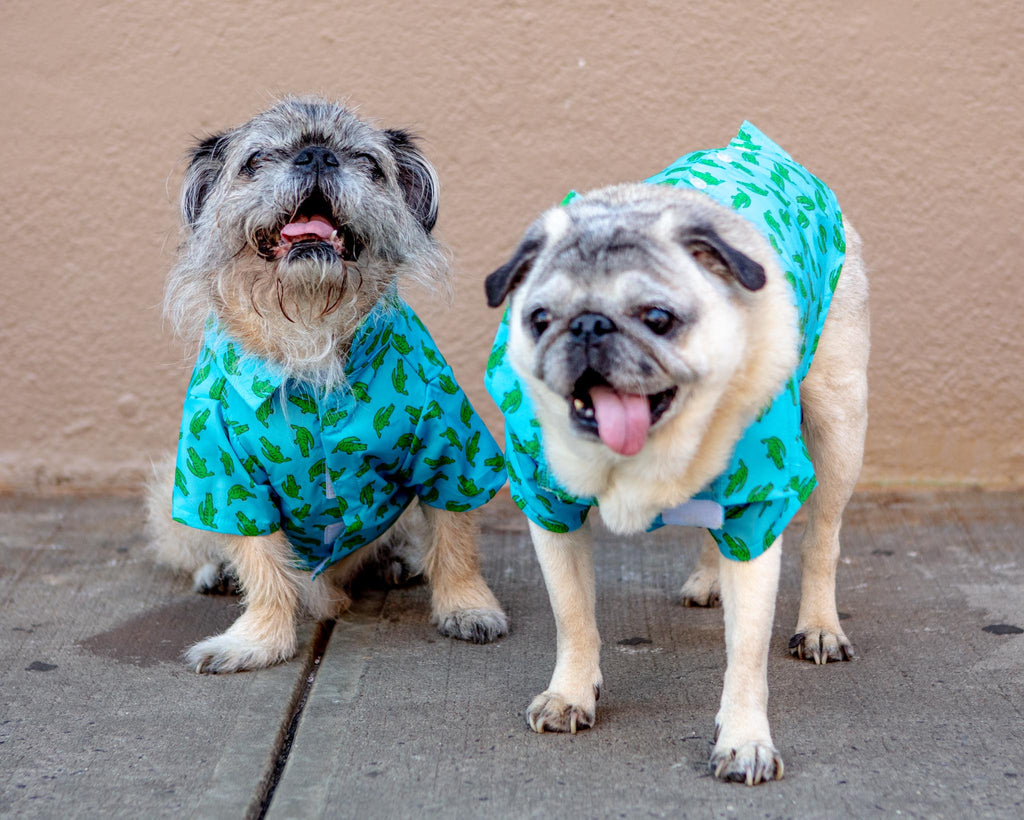 Al the Gator Dog Shirt Apparel THE WORTHY DOG   