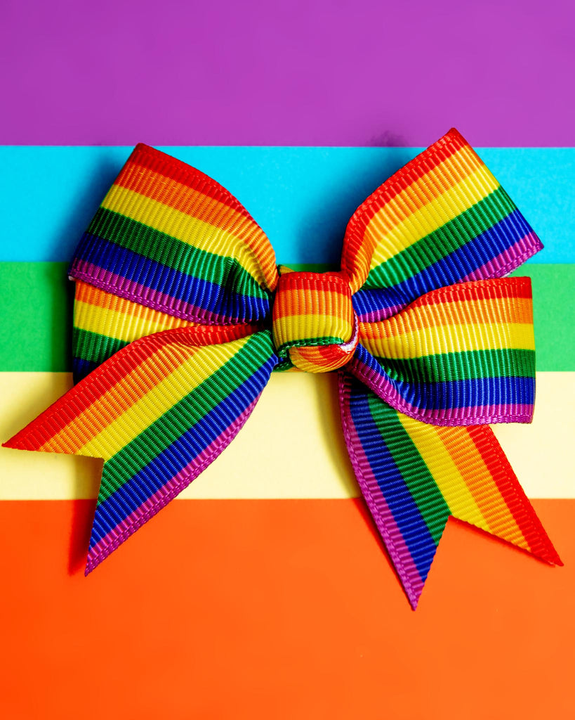 Rainbow Pet Hair Clip (Single) (FINAL SALE) Wear BARKER'S BOWTIQUE   