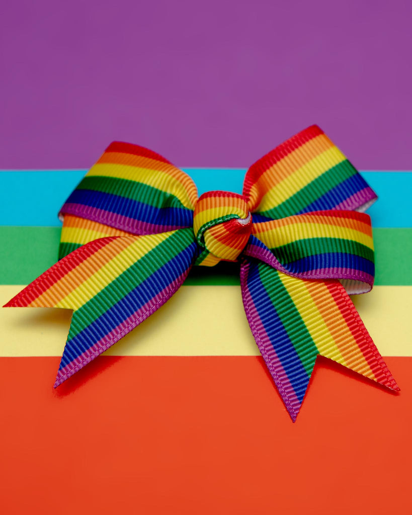 Rainbow Pet Hair Clip (Single) (FINAL SALE) Wear BARKER'S BOWTIQUE   