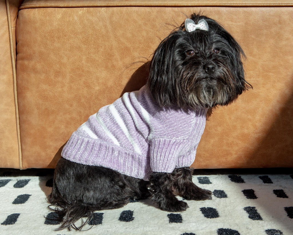 Cozy Soft Chenille Striped Dog Sweater in Lavender Frost (FINAL SALE) Wear BLUEBERRY PET   