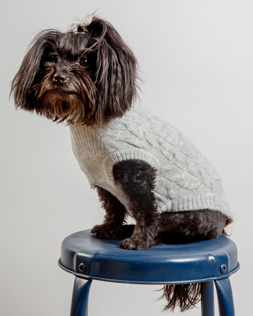 Fuzzy Knit Dog Crewneck Sweater in Heather Grey (FINAL SALE) Wear BLUEBERRY PET   