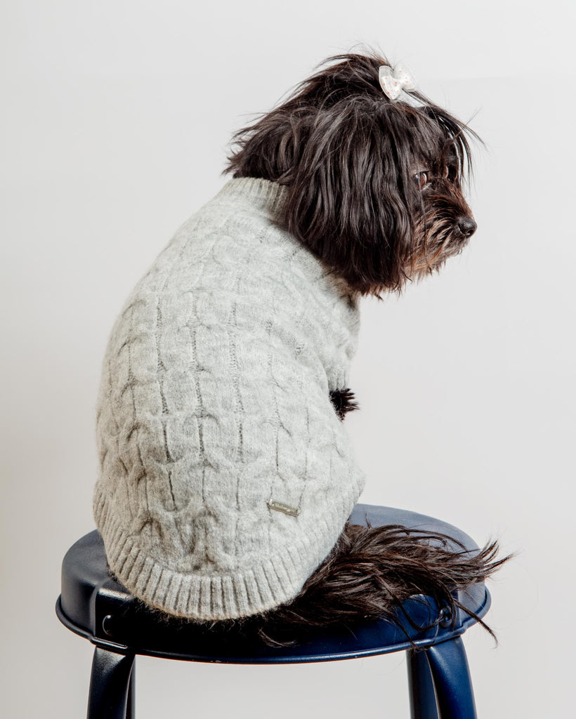 Fuzzy Knit Dog Crewneck Sweater in Heather Grey (FINAL SALE) Wear BLUEBERRY PET   