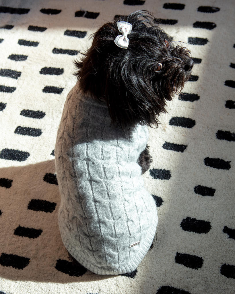 Fuzzy Knit Dog Crewneck Sweater in Heather Grey (FINAL SALE) Wear BLUEBERRY PET   