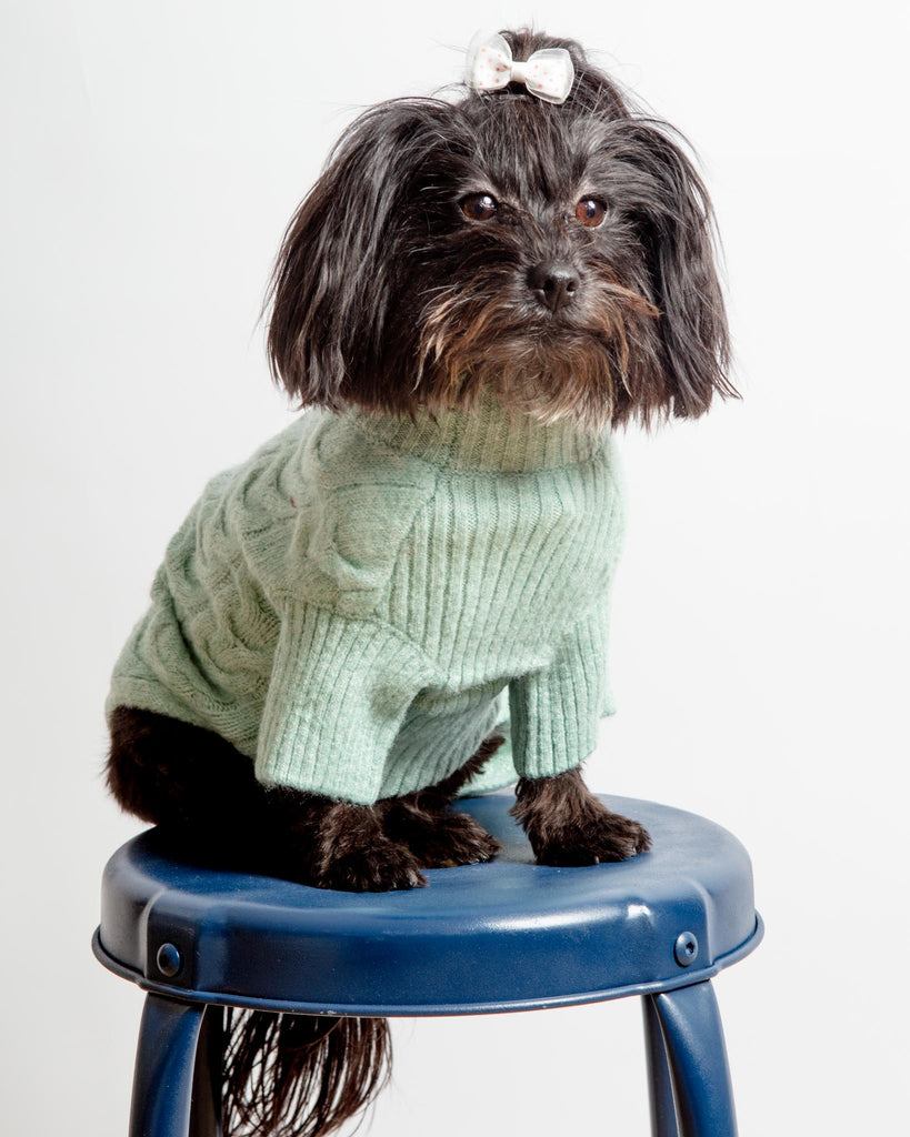 Fuzzy Knit Dog Turtleneck Sweater in Heathered Jade Wear BLUEBERRY PET   