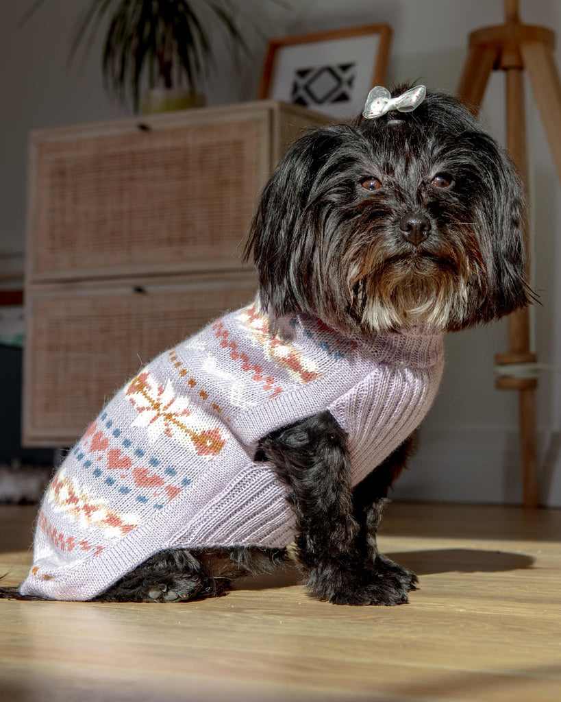 Lavender Sunrise Alpaca Blend Dog Sweater (FINAL SALE) Wear ALQO WASI   