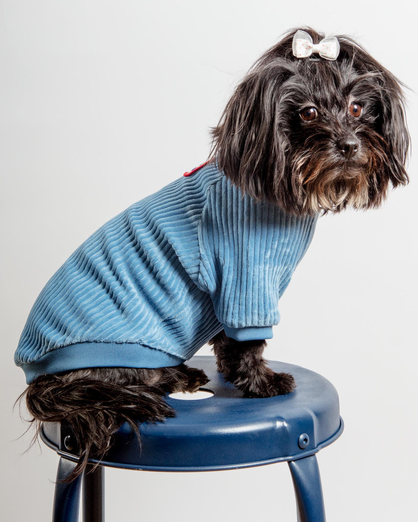 Amber Dog Tee in Sky Blue (FINAL SALE) Wear CHARLIE'S BACKYARD   