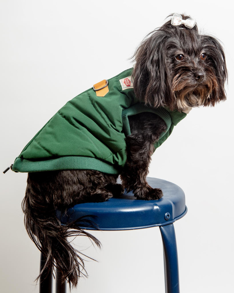 Warm Up Harness Jacket in Deep Green (FINAL SALE) Wear CHARLIE'S BACKYARD   