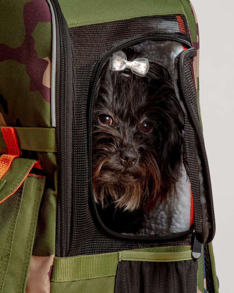 ROVERLUND Airline-Compliant Pet Backpack | Includes Laptop Storage | for Pets Up to 25lbs