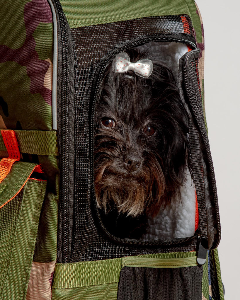 Ready-For-Adventure Pet Backpack (Airline Compliant) Carry ROVERLUND   
