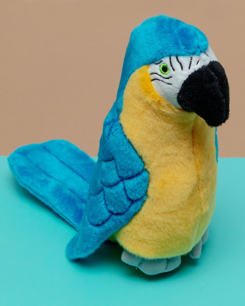 Jimmy the Parrot Plush Dog Toy << FINAL SALE >> Play FLUFF & TUFF   