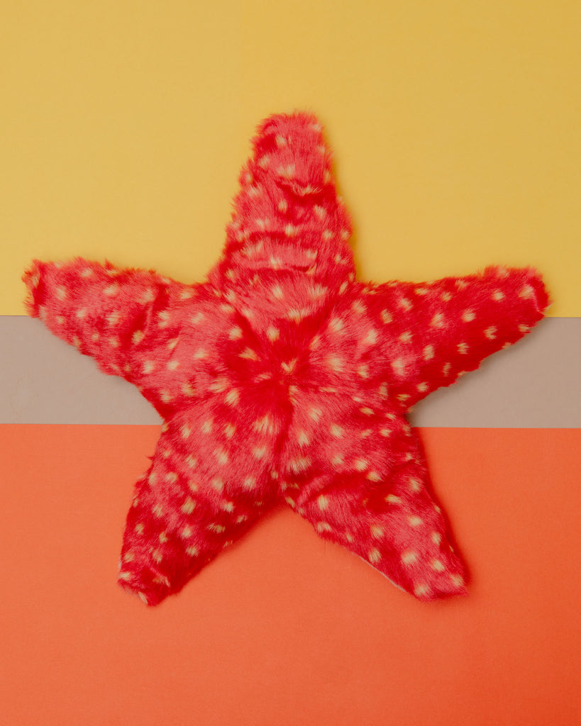 Ziggy Starfish Plush Dog Toy << FINAL SALE >> Play FLUFF & TUFF   