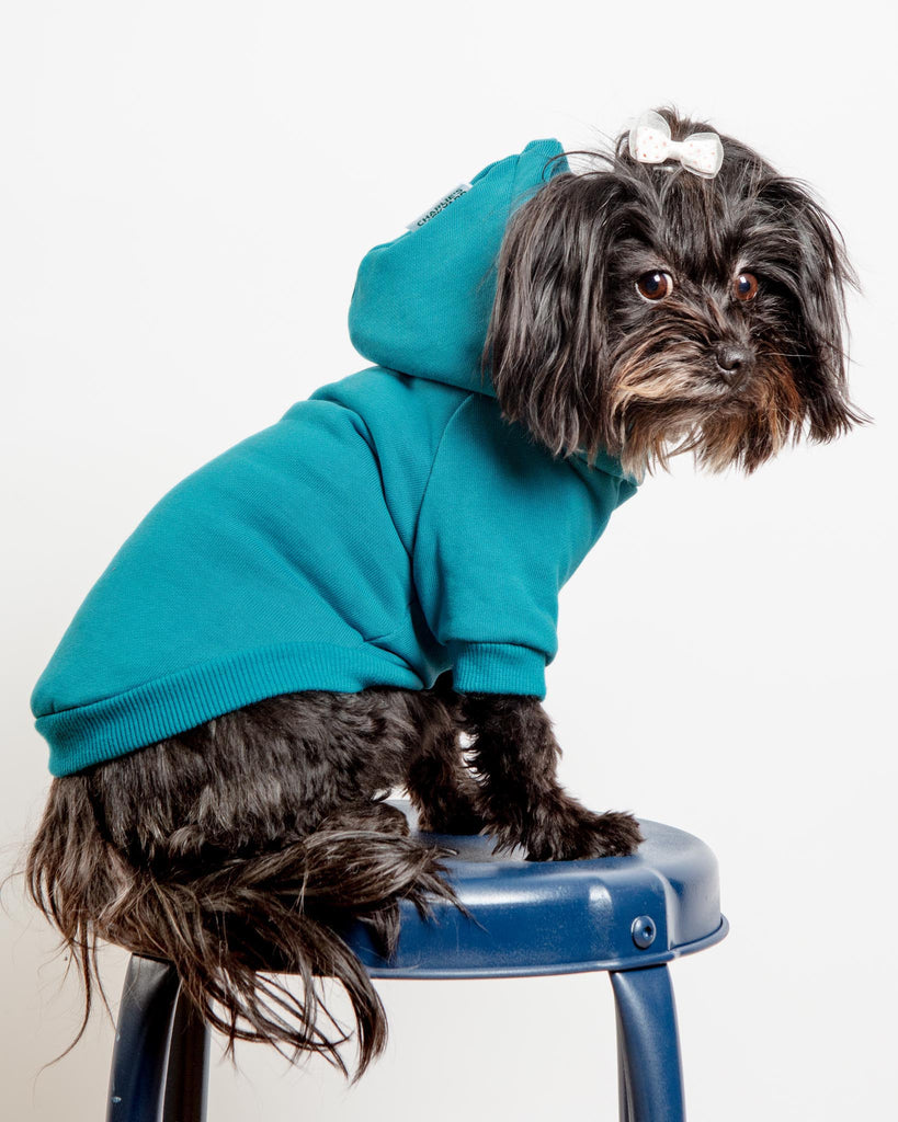 Dog Hoodie in Teal (CLEARANCE) Wear CHARLIE'S BACKYARD   