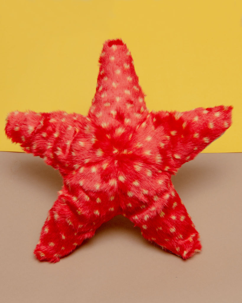 Ziggy Starfish Plush Dog Toy << FINAL SALE >> Play FLUFF & TUFF   