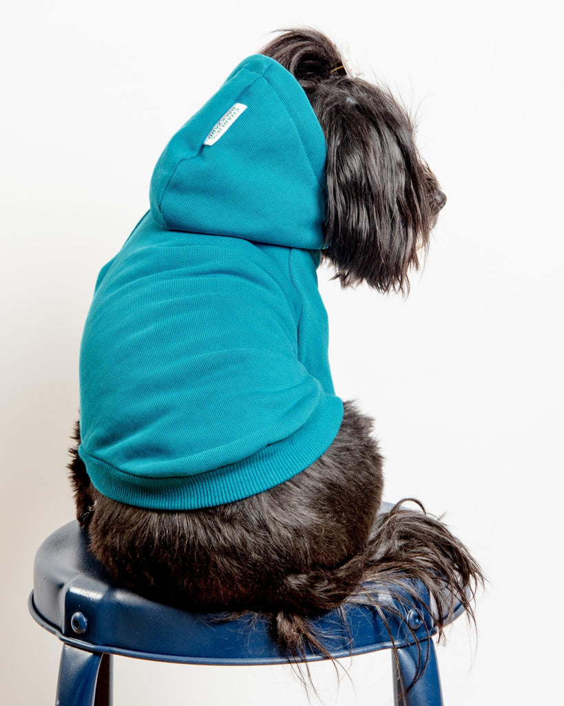 Dog Hoodie in Teal (CLEARANCE) Wear CHARLIE'S BACKYARD   