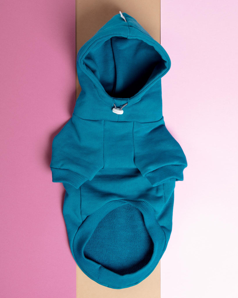 Dog Hoodie in Teal (CLEARANCE) Wear CHARLIE'S BACKYARD   