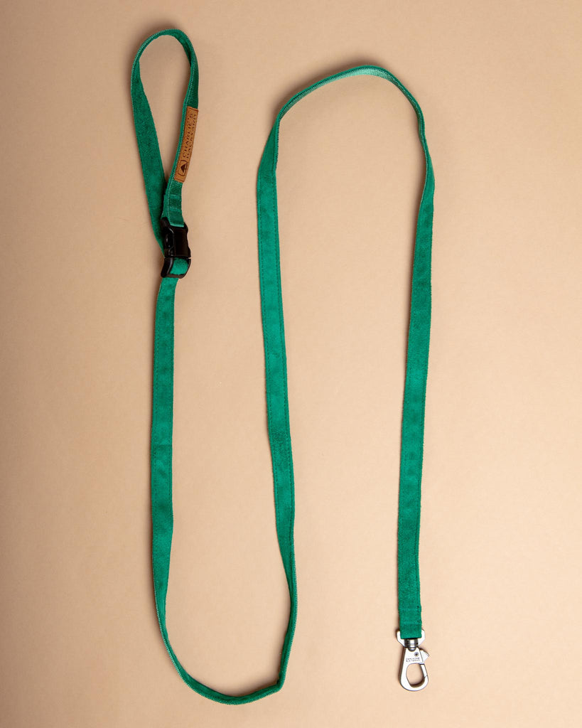 Adjustable Easy Dog Leash in Green WALK CHARLIE'S BACKYARD   