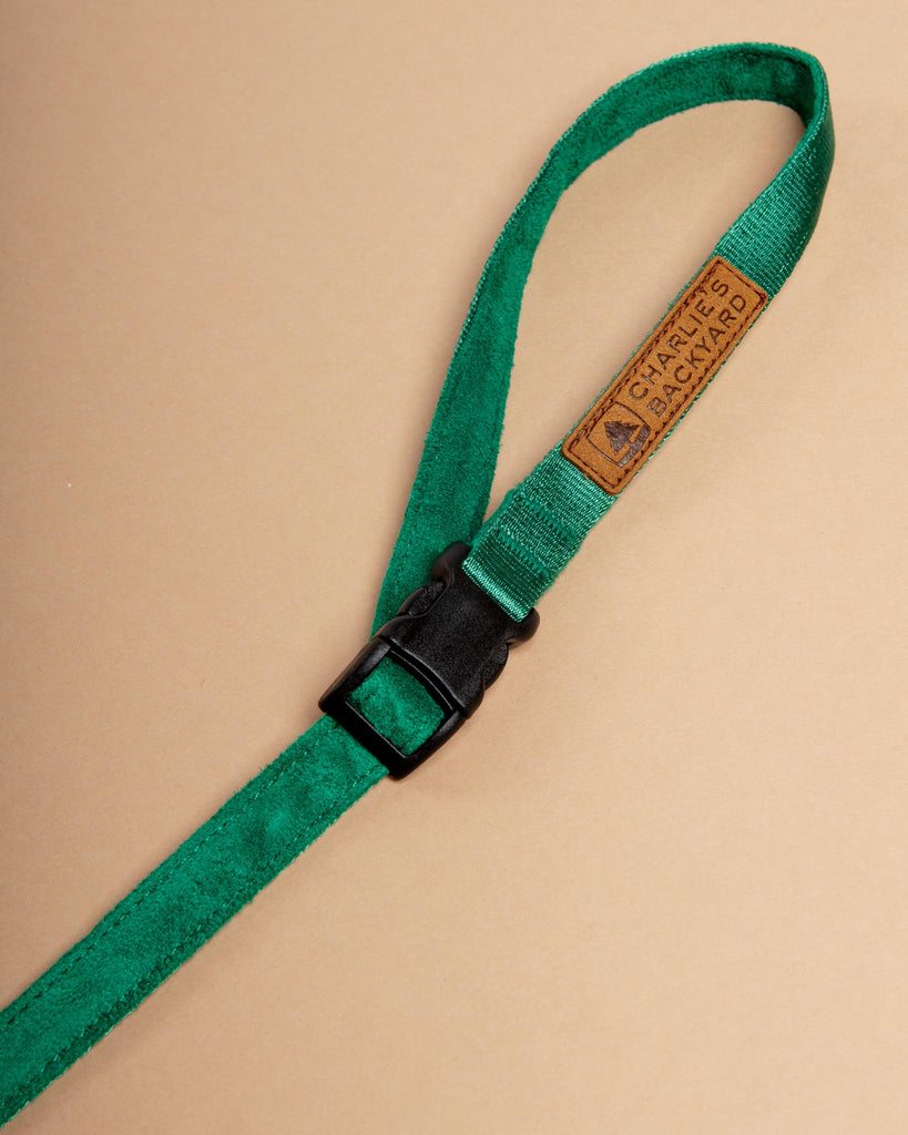 Adjustable Easy Dog Leash in Green WALK CHARLIE'S BACKYARD   