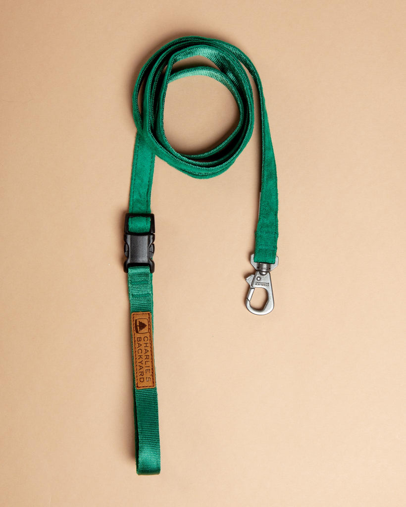 Adjustable Easy Dog Leash in Green WALK CHARLIE'S BACKYARD   