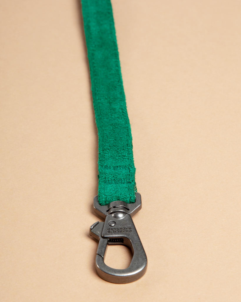 Adjustable Easy Dog Leash in Green WALK CHARLIE'S BACKYARD   