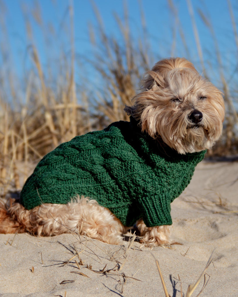 Downtown Roll Neck Dog Sweater in Evergreen Wear DOG & CO. COLLECTION   