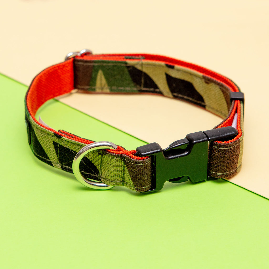 Cordura Dog Collar in Camo & Neon Orange (Made in the USA) WALK WAGWEAR   