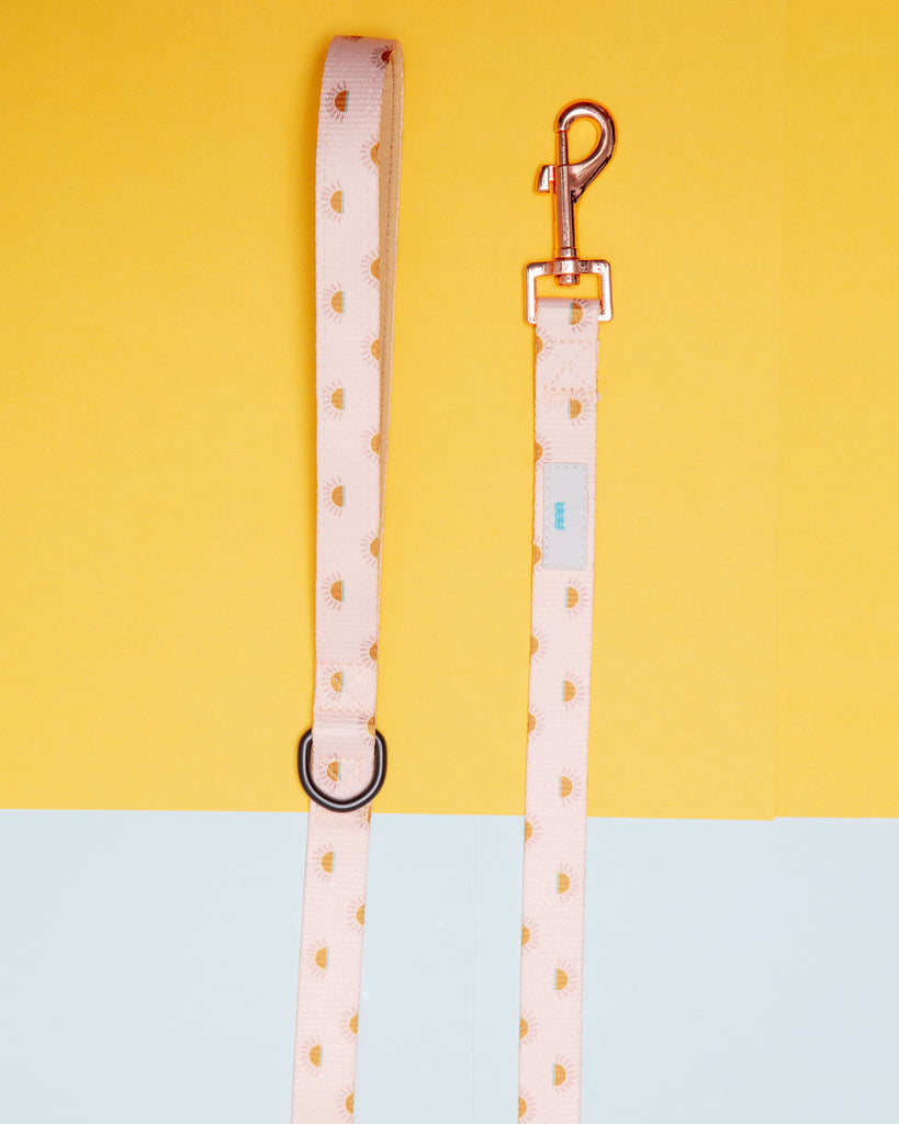 Nylon Dog Lead in Joshua Tree Print WALK WEST COAST WAG   
