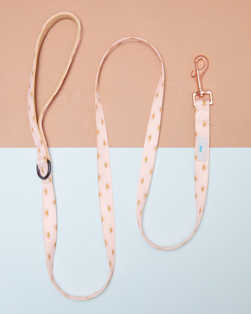 Nylon Dog Lead in Joshua Tree Print WALK WEST COAST WAG   
