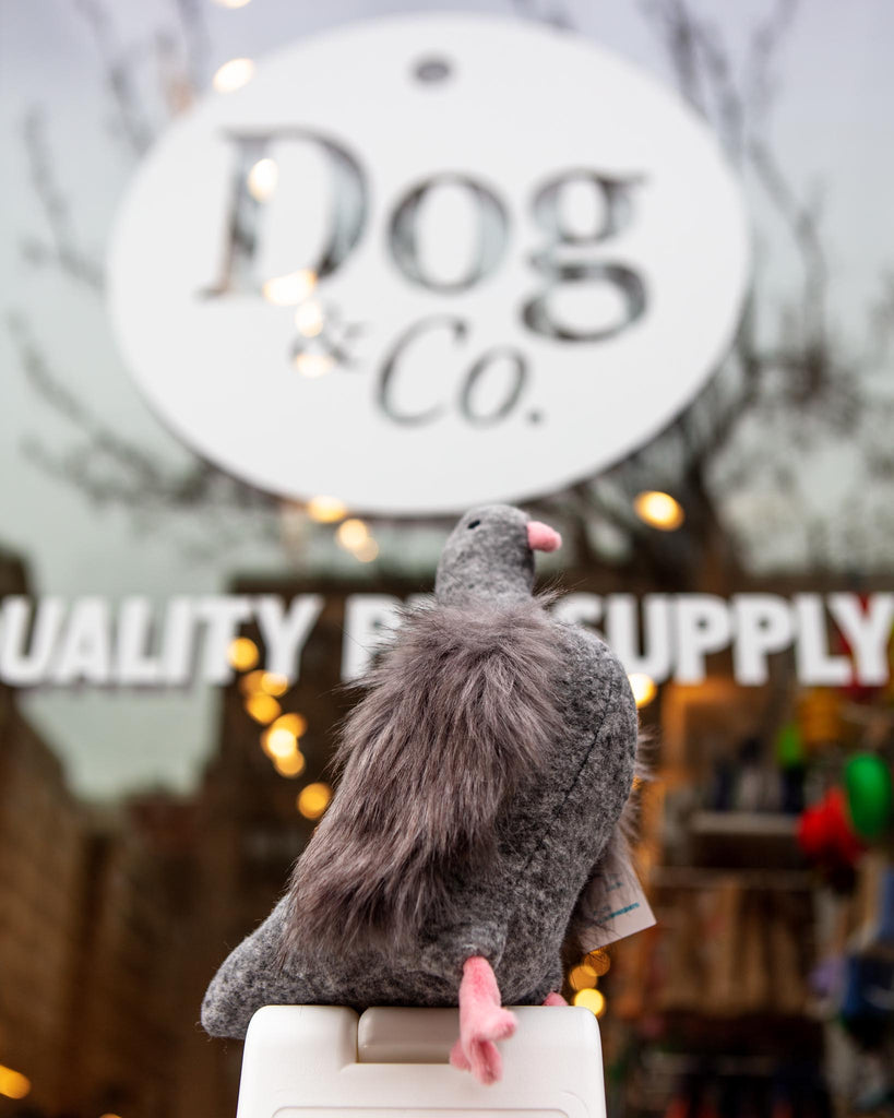 Pecky Pigeon Squeaky Dog Toy Play MANHATTAN TOY   