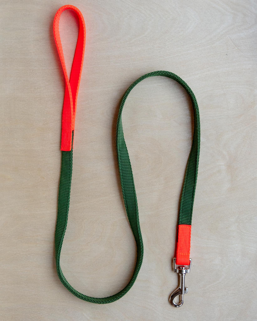 Nylon Dog Leash in Olive & Neon Orange (Made in the USA) WALK WAGWEAR   