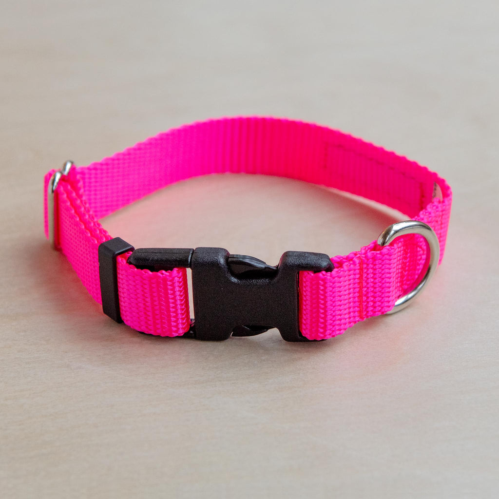 Nylon Metropolitan Collar in Neon Pink (Made in the USA) WALK WAGWEAR   