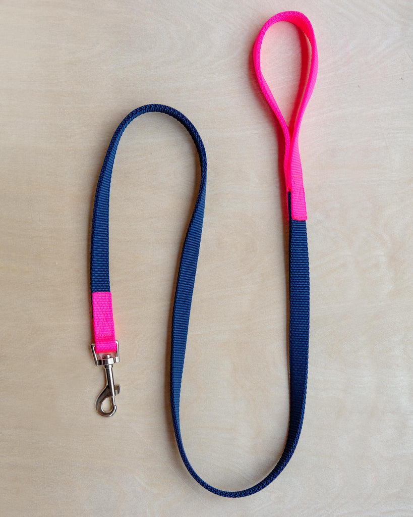 Nylon Dog Leash in Navy & Neon Pink (Made in the USA) WALK WAGWEAR   