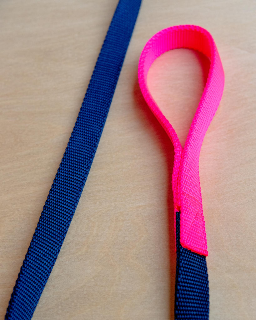Nylon Dog Leash in Navy & Neon Pink (Made in the USA) WALK WAGWEAR Small  
