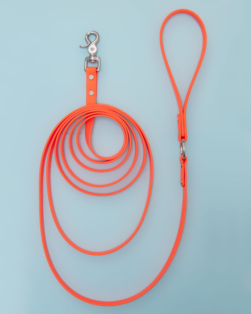 Weekend Long Leash in Neon Orange (10 or 20 Foot) (Made in the USA) WALK DOG & CO. COLLECTION   