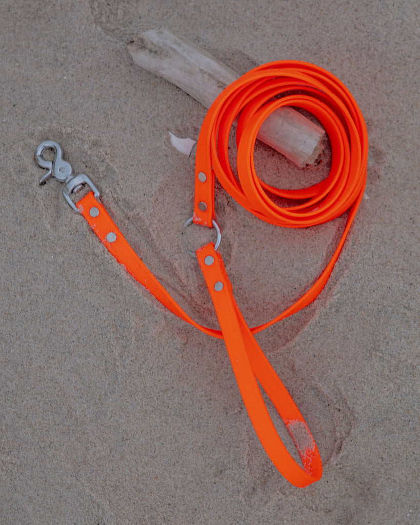 Weekend Long Leash in Neon Orange (10 or 20 Foot) (Made in the USA) WALK DOG & CO. COLLECTION   
