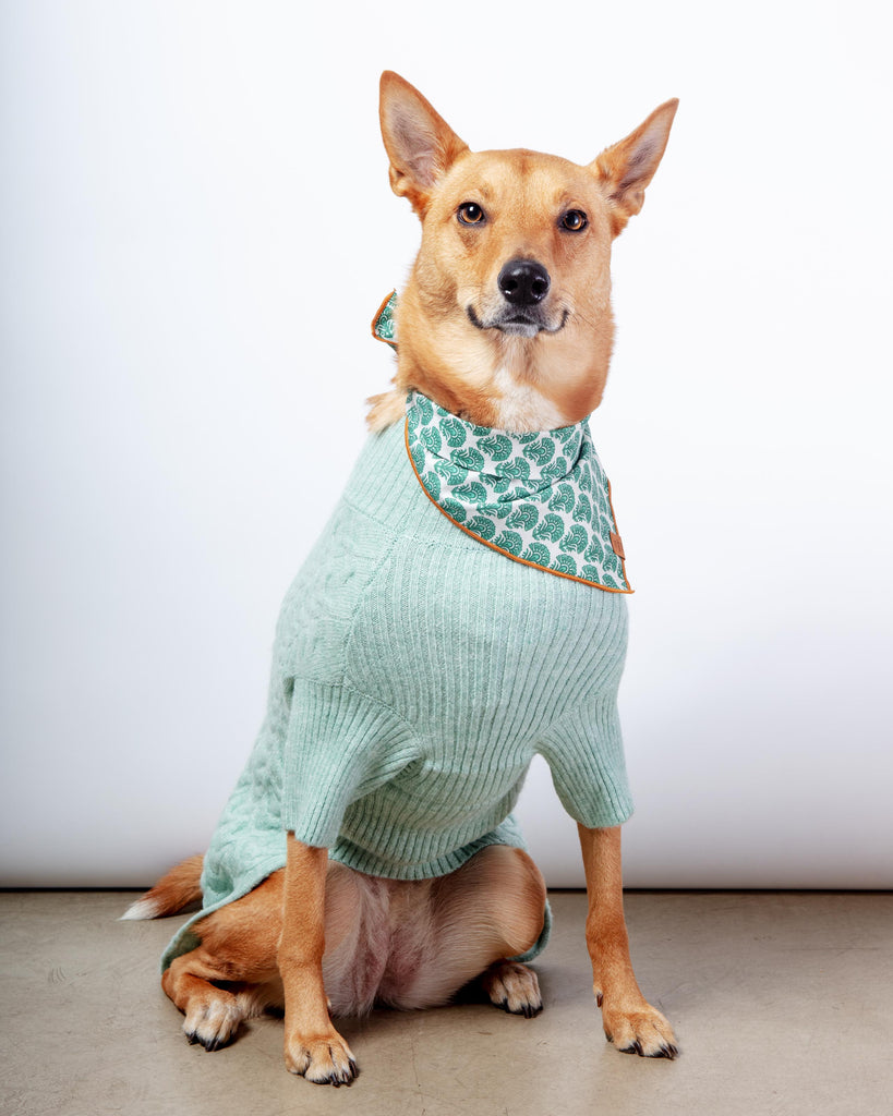 Fuzzy Knit Dog Turtleneck Sweater in Heathered Jade Wear BLUEBERRY PET   