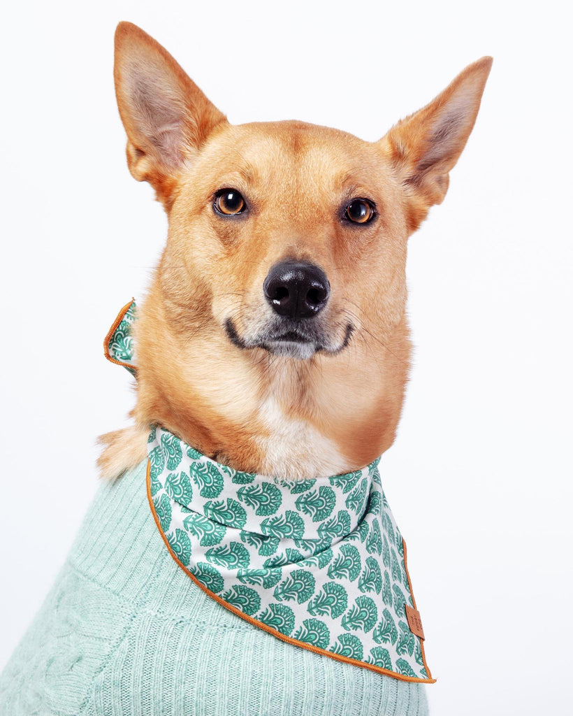 Verde Dog Bandana (FINAL SALE) Wear THE FOGGY DOG   
