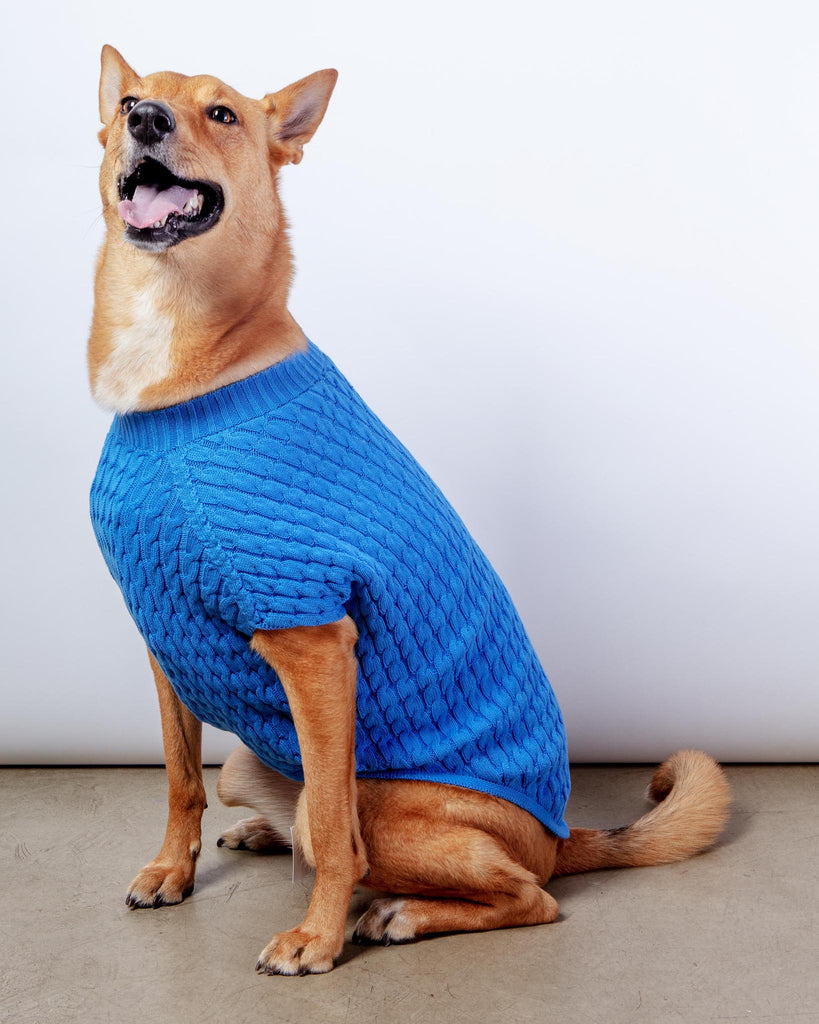 The Uptown Cable Knit Sweater in French Blue American Cotton (Made in NYC) Wear DOG & CO. COLLECTION   