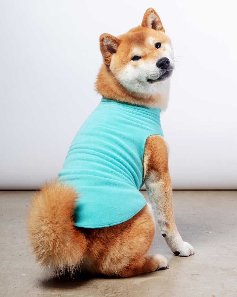 Stretch Fleece Pullover in Turquoise Wear GOLD PAW   