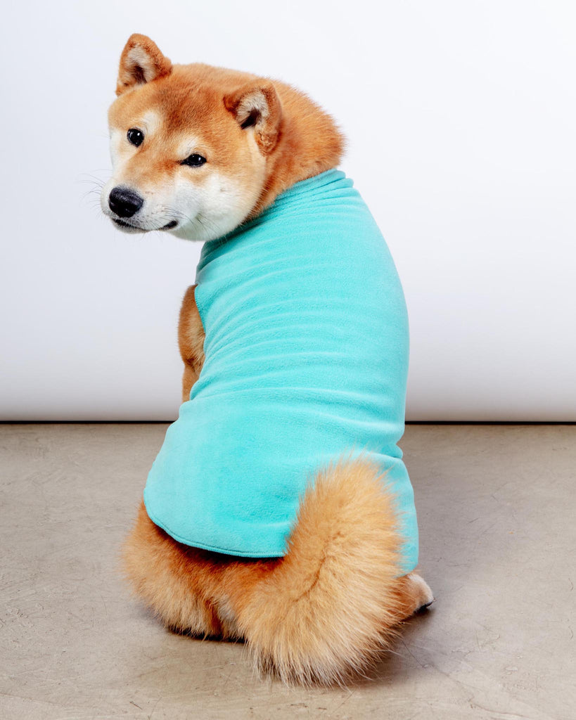 Stretch Fleece Pullover in Turquoise Wear GOLD PAW   