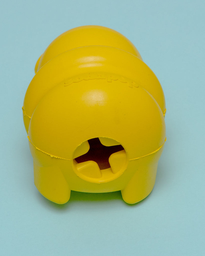 Honey Bear Tuff Chew & Treat Dispensing Dog Toy (Made in the USA) Play SODA PUP   