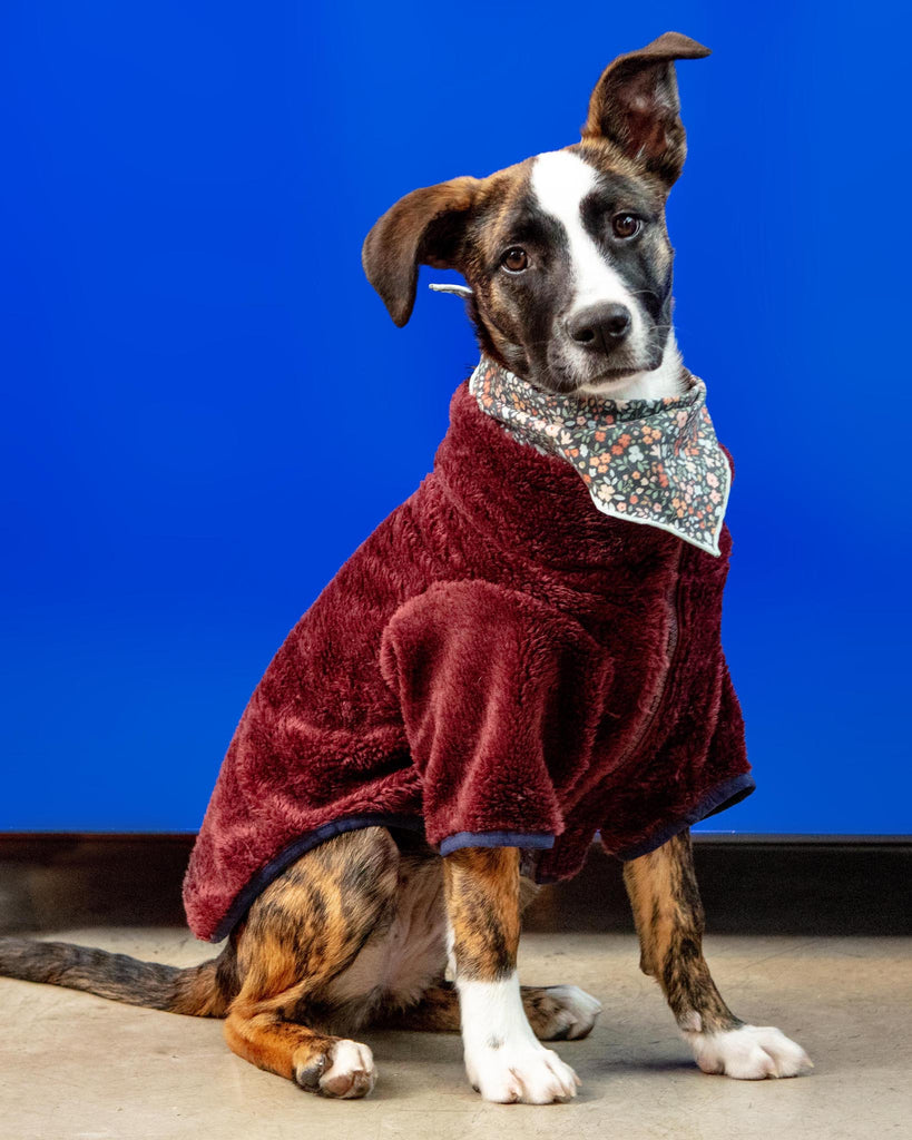 Zippy Dog Fleece in Burgundy (FINAL SALE) Wear WAGWEAR   
