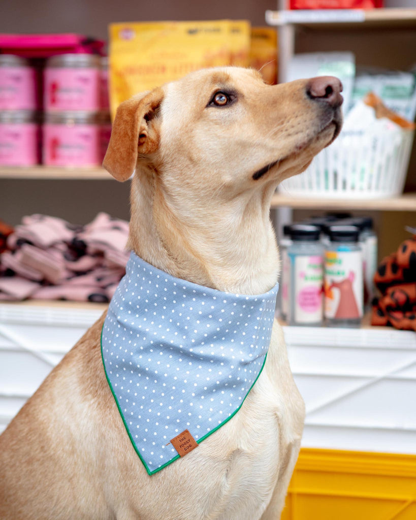 Chambray Dots Dog Bandana Wear THE FOGGY DOG   