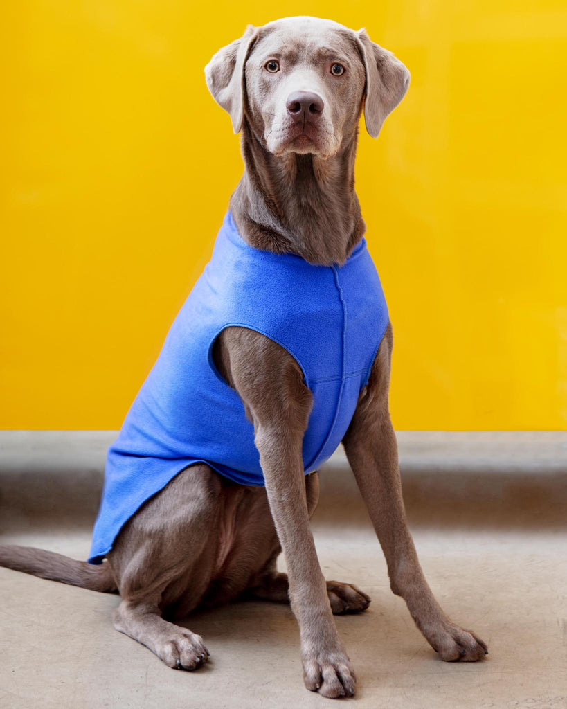 Stretch Fleece Pullover in Cornflower Blue Wear GOLD PAW   